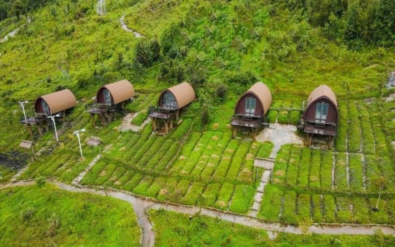 Tất Tần Tật về Cầu Kính Rồng Mây Sapa Tất Tần Tật về Cầu Kính Rồng Mây Sapa