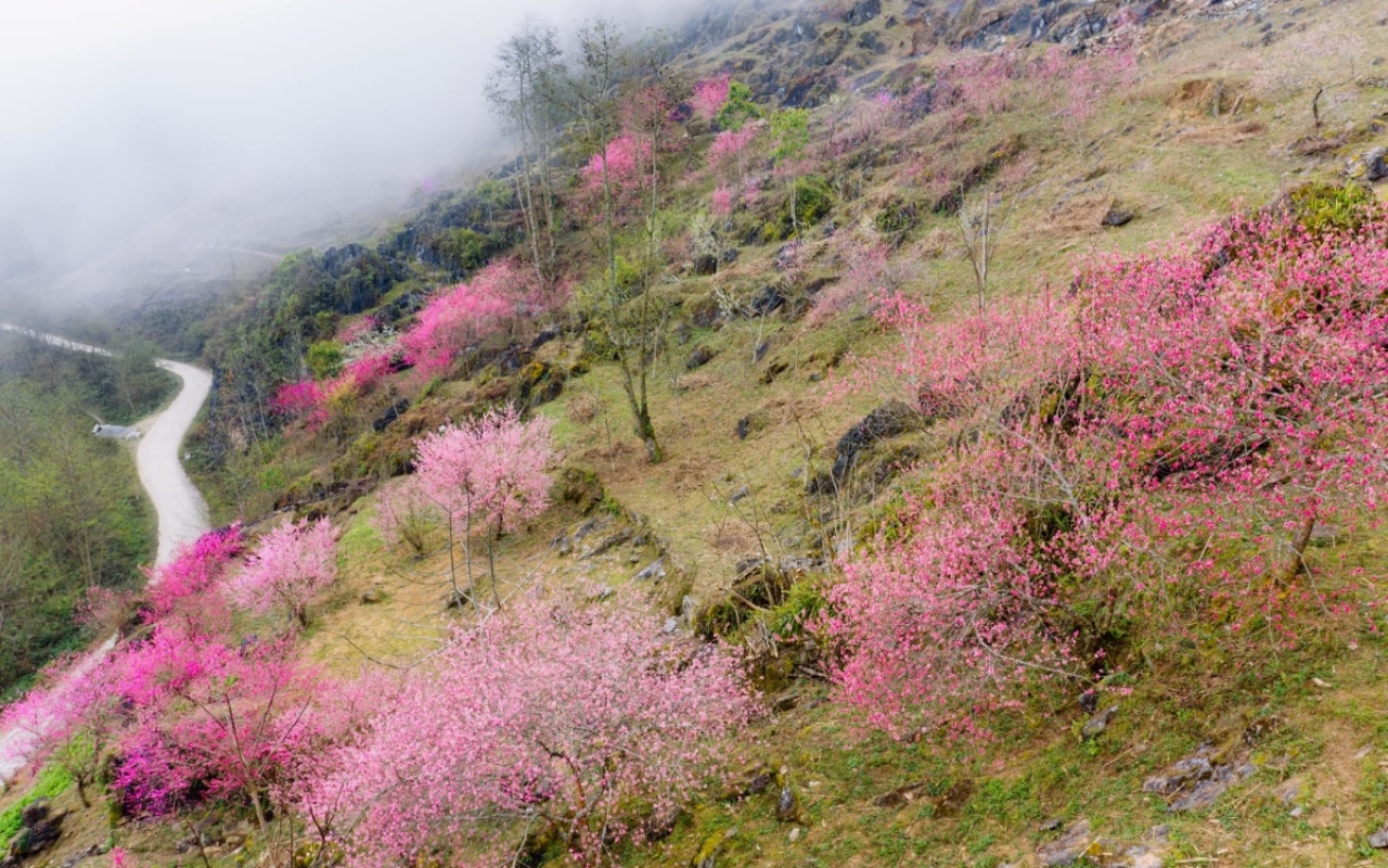 Cẩm Nang Du Lịch Hà Giang 2024
