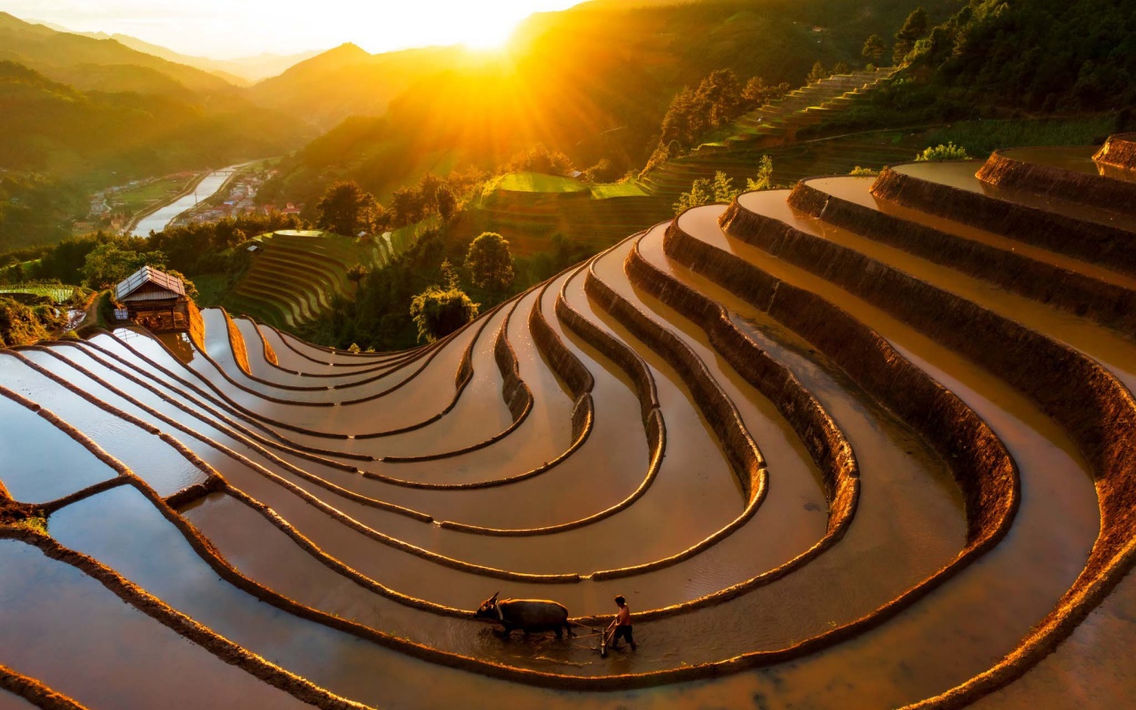 Ruộng bậc thang mùa nước đổ