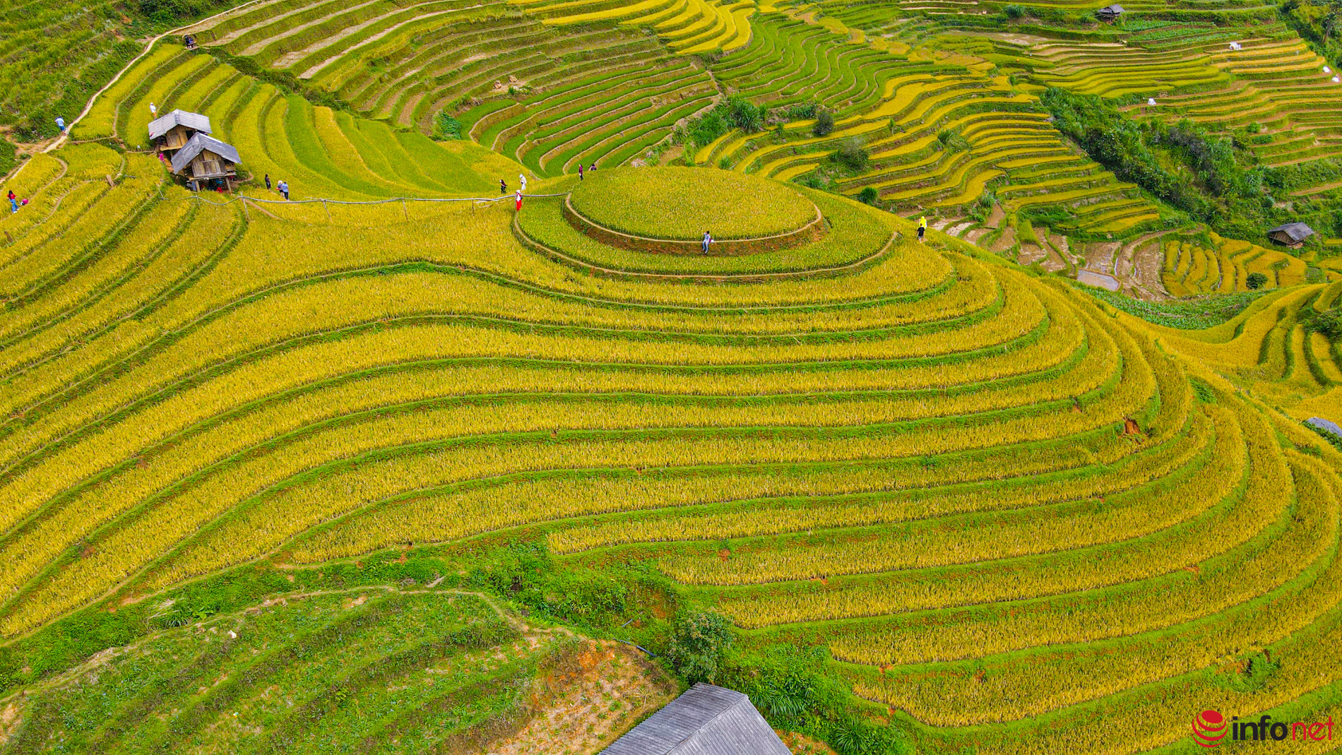 Mù Cang Chải – Thiên Đường Ruộng Bậc Thang Tây Bắc
