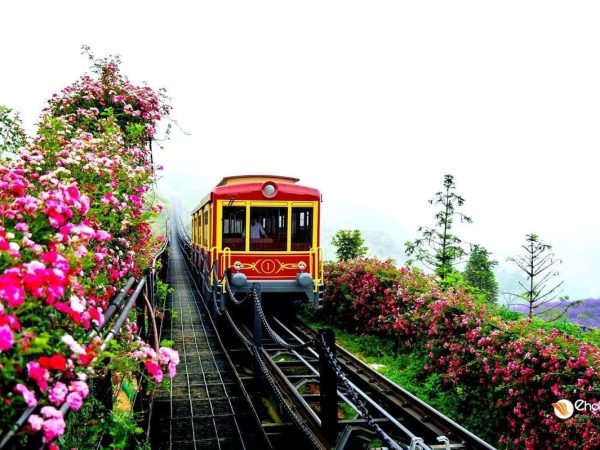 Combo Cáp Treo Fansipan + Buffet Trưa + Tàu Mường Hoa